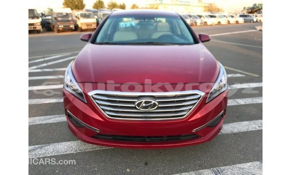 Buy Import Hyundai Sonata Red Car in Import - Dubai in Batken Buy Import Hyundai Sonata Red Car in Import - Dubai in Batken
