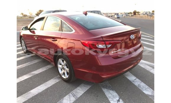 Buy Import Hyundai Sonata Red Car in Import - Dubai in Batken Buy Import Hyundai Sonata Red Car in Import - Dubai in Batken