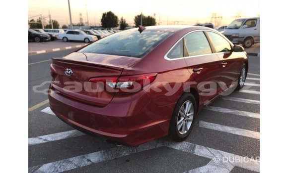 Buy Import Hyundai Sonata Red Car in Import - Dubai in Batken Buy Import Hyundai Sonata Red Car in Import - Dubai in Batken