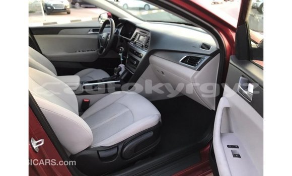 Buy Import Hyundai Sonata Red Car in Import - Dubai in Batken Buy Import Hyundai Sonata Red Car in Import - Dubai in Batken