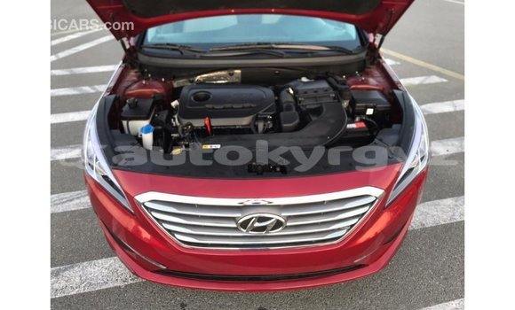 Buy Import Hyundai Sonata Red Car in Import - Dubai in Batken Buy Import Hyundai Sonata Red Car in Import - Dubai in Batken
