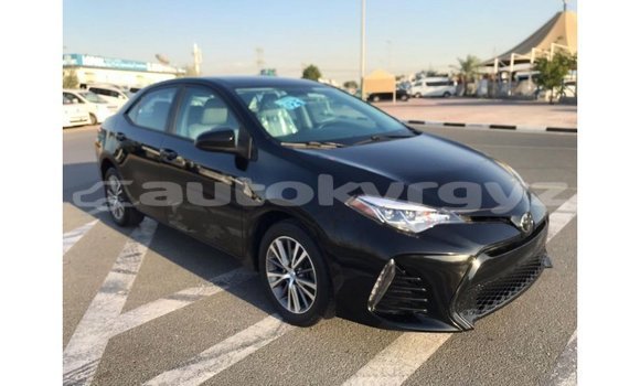 Buy Import Toyota Corolla Black Car in Import - Dubai in Batken Buy Import Toyota Corolla Black Car in Import - Dubai in Batken