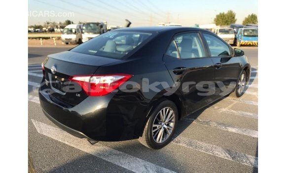 Buy Import Toyota Corolla Black Car in Import - Dubai in Batken Buy Import Toyota Corolla Black Car in Import - Dubai in Batken