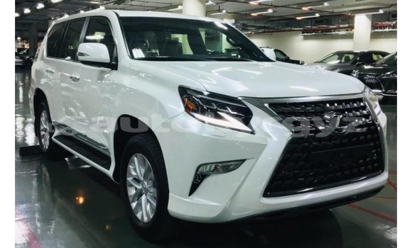 Buy Import Lexus GX White Car in Import - Dubai in Batken Buy Import Lexus GX White Car in Import - Dubai in Batken
