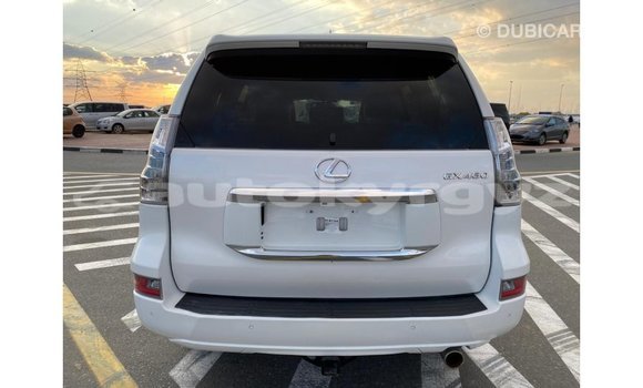 Buy Import Lexus GX White Car in Import - Dubai in Batken Buy Import Lexus GX White Car in Import - Dubai in Batken