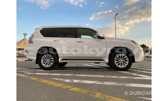 Buy Import Lexus GX White Car in Import - Dubai in Batken Buy Import Lexus GX White Car in Import - Dubai in Batken