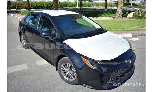 Buy Import Toyota Corolla Black Car in Import - Dubai in Batken Buy Import Toyota Corolla Black Car in Import - Dubai in Batken