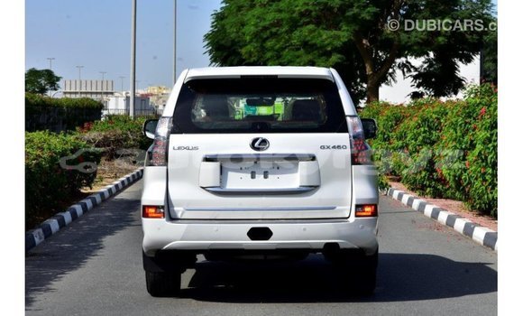 Buy Import Lexus GX White Car in Import - Dubai in Batken Buy Import Lexus GX White Car in Import - Dubai in Batken