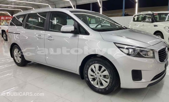 Buy Import Kia Carnival Other Car in Import - Dubai in Batken Buy Import Kia Carnival Other Car in Import - Dubai in Batken