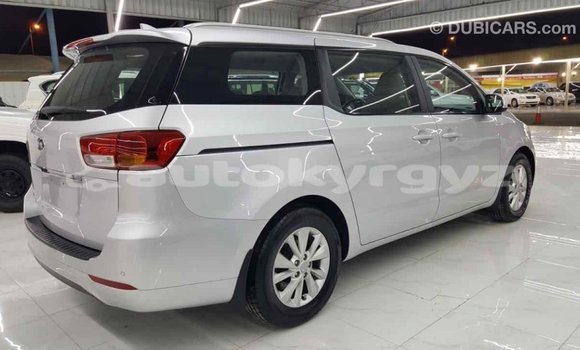Buy Import Kia Carnival Other Car in Import - Dubai in Batken Buy Import Kia Carnival Other Car in Import - Dubai in Batken