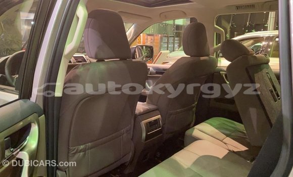 Buy Import Lexus GX Other Car in Import - Dubai in Batken Buy Import Lexus GX Other Car in Import - Dubai in Batken