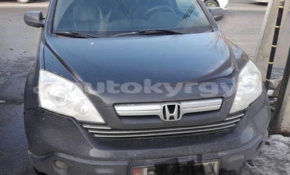 Buy Used Honda CR–V Black Car in Bishkek in Bishkek