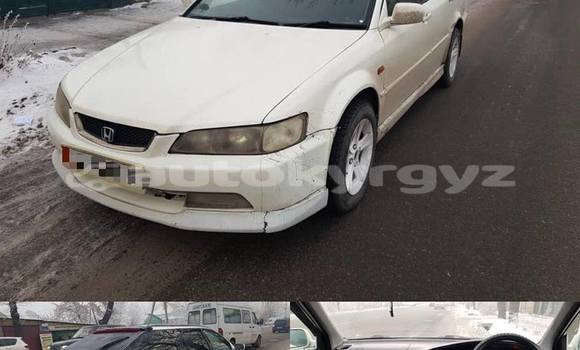 Buy Used Honda Accord White Car in Bishkek in Bishkek