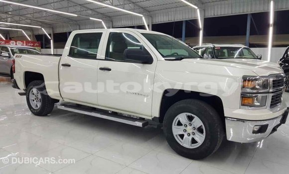 Buy Import Chevrolet Silverado White Car in Import - Dubai in Batken Buy Import Chevrolet Silverado White Car in Import - Dubai in Batken