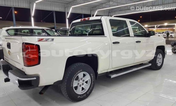 Buy Import Chevrolet Silverado White Car in Import - Dubai in Batken Buy Import Chevrolet Silverado White Car in Import - Dubai in Batken