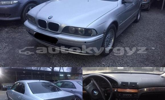 Buy Used BMW 3–Series Silver Car in Bishkek in Bishkek