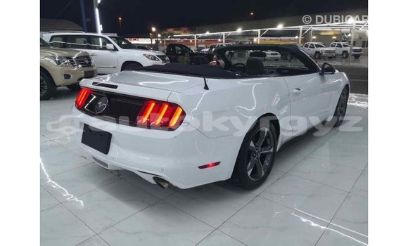 Buy Import Ford Mustang White Car in Import - Dubai in Batken Buy Import Ford Mustang White Car in Import - Dubai in Batken
