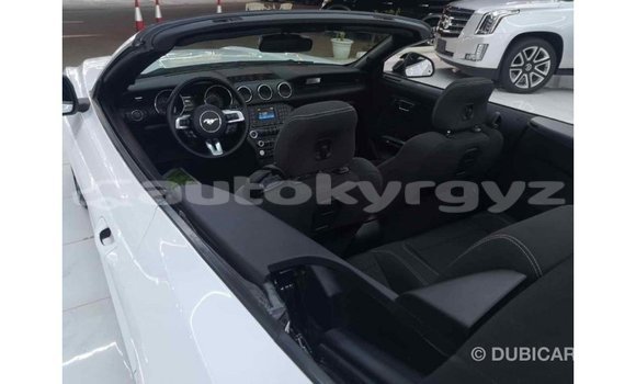 Buy Import Ford Mustang White Car in Import - Dubai in Batken Buy Import Ford Mustang White Car in Import - Dubai in Batken