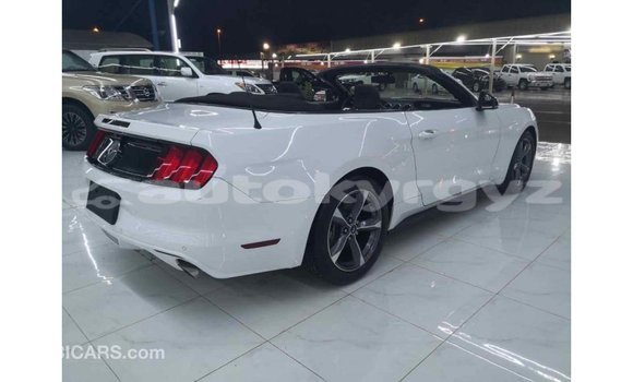Buy Import Ford Mustang White Car in Import - Dubai in Batken