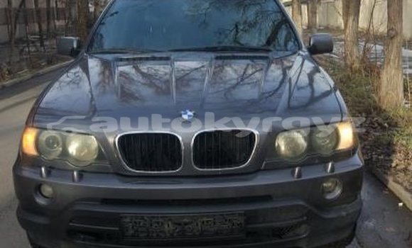 Buy Used BMW X5 Other Car in Bishkek in Bishkek