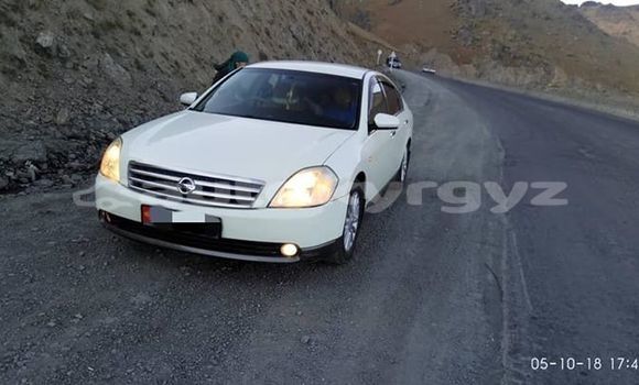 Buy Used Nissan Teana White Car in Bishkek in Bishkek