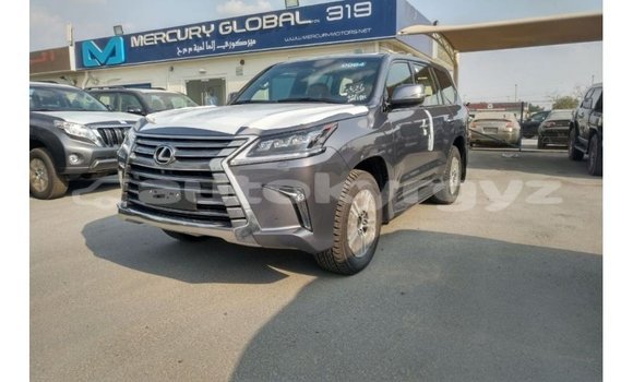 Buy Import Lexus LX Other Car in Import - Dubai in Batken Buy Import Lexus LX Other Car in Import - Dubai in Batken