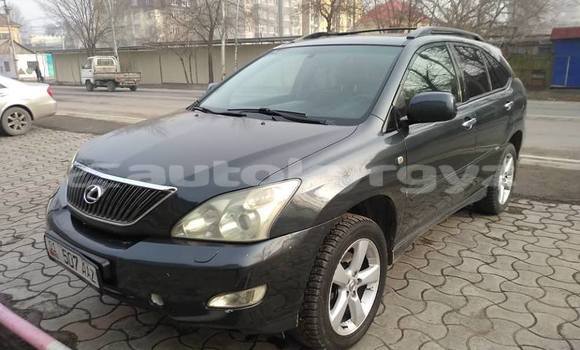 Buy Used Lexus RX 330 Black Car in Bishkek in Bishkek