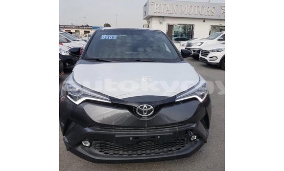 Buy Import Toyota C-HR Other Car in Import - Dubai in Batken Buy Import Toyota C-HR Other Car in Import - Dubai in Batken