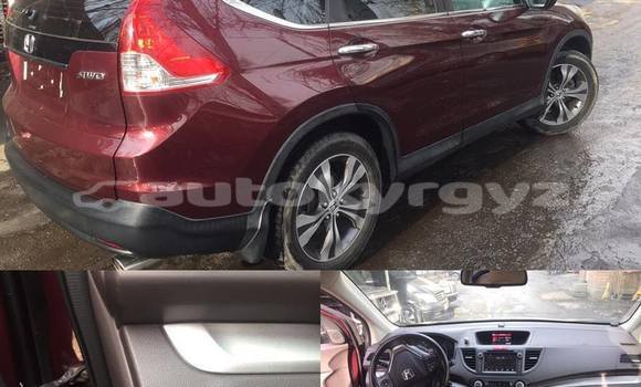 Buy Used Honda CR–V Red Car in Bishkek in Bishkek