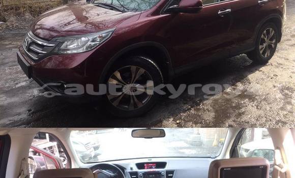Buy Used Honda CR–V Red Car in Bishkek in Bishkek Buy Used Honda CR–V Red Car in Bishkek in Bishkek