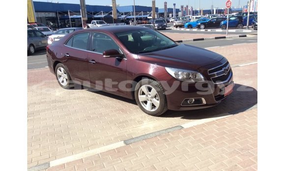 Buy Import Chevrolet Malibu Other Car in Import - Dubai in Batken