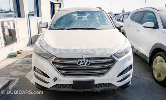 Buy Import Hyundai Tucson White Car in Import - Dubai in Batken Buy Import Hyundai Tucson White Car in Import - Dubai in Batken