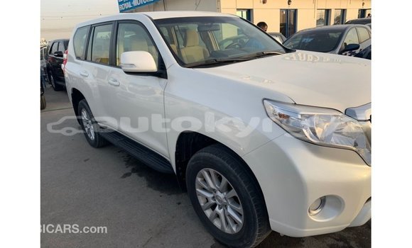 Buy Import Toyota Prado White Car in Import - Dubai in Batken Buy Import Toyota Prado White Car in Import - Dubai in Batken