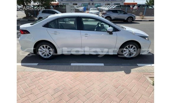 Buy Import Toyota Corolla White Car in Import - Dubai in Batken Buy Import Toyota Corolla White Car in Import - Dubai in Batken