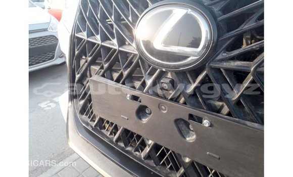 Buy Import Lexus LX White Car in Import - Dubai in Batken Buy Import Lexus LX White Car in Import - Dubai in Batken