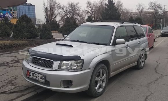 Buy Used Subaru Forester Silver Car in Bishkek in Bishkek