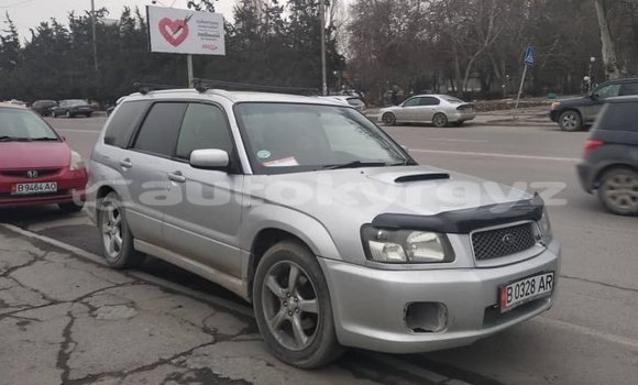 Buy Used Subaru Forester Silver Car in Bishkek in Bishkek Buy Used Subaru Forester Silver Car in Bishkek in Bishkek