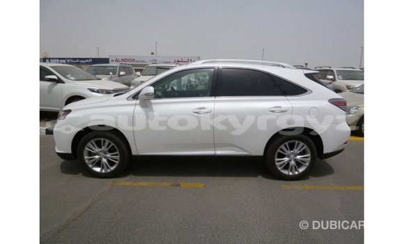 Buy Import Lexus RX 350 White Car in Import - Dubai in Batken Buy Import Lexus RX 350 White Car in Import - Dubai in Batken
