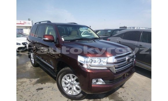 Buy Import Toyota Land Cruiser Brown Car in Import - Dubai in Batken Buy Import Toyota Land Cruiser Brown Car in Import - Dubai in Batken