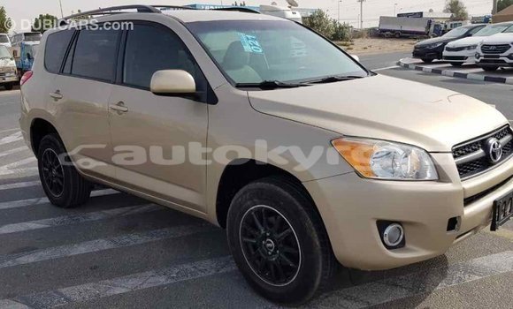 Buy Import Toyota RAV4 Other Car in Import - Dubai in Batken Buy Import Toyota RAV4 Other Car in Import - Dubai in Batken