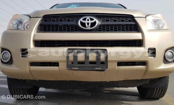 Buy Import Toyota RAV4 Other Car in Import - Dubai in Batken Buy Import Toyota RAV4 Other Car in Import - Dubai in Batken