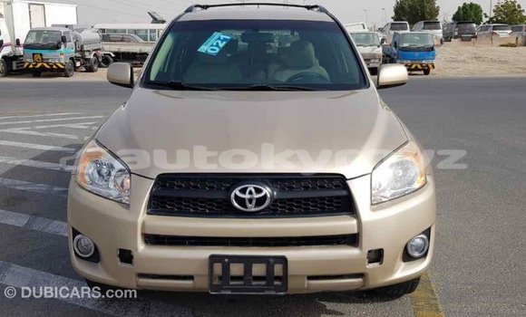 Buy Import Toyota RAV4 Other Car in Import - Dubai in Batken Buy Import Toyota RAV4 Other Car in Import - Dubai in Batken