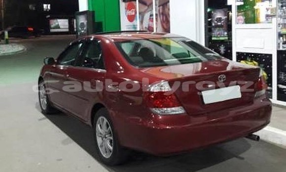 Buy Used Toyota Camry Red Car in Bishkek in Bishkek Buy Used Toyota Camry Red Car in Bishkek in Bishkek