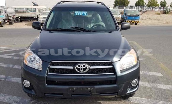 Buy Import Toyota RAV4 Green Car in Import - Dubai in Batken Buy Import Toyota RAV4 Green Car in Import - Dubai in Batken