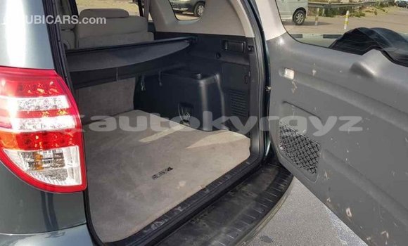 Buy Import Toyota RAV4 Green Car in Import - Dubai in Batken Buy Import Toyota RAV4 Green Car in Import - Dubai in Batken