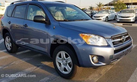 Buy Import Toyota RAV4 Blue Car in Import - Dubai in Batken Buy Import Toyota RAV4 Blue Car in Import - Dubai in Batken