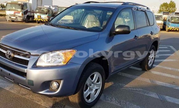Buy Import Toyota RAV4 Blue Car in Import - Dubai in Batken Buy Import Toyota RAV4 Blue Car in Import - Dubai in Batken
