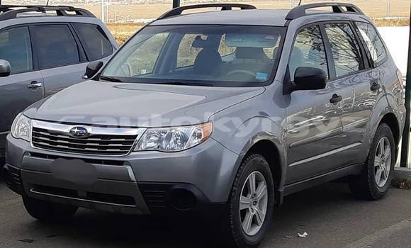 Buy Used Subaru Forester Silver Car in Bishkek in Bishkek