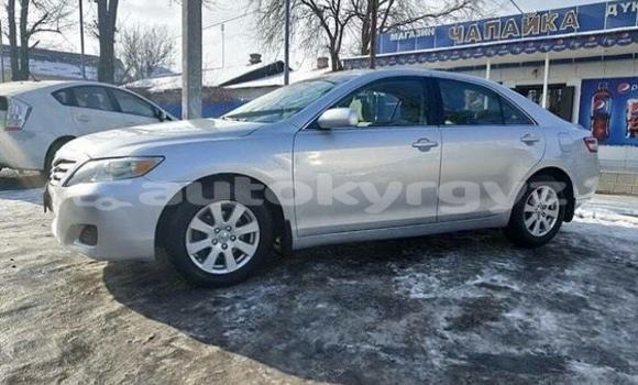 Buy Used Toyota Camry Silver Car in Bishkek in Bishkek Buy Used Toyota Camry Silver Car in Bishkek in Bishkek