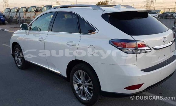 Buy Import Lexus RX 350 White Car in Import - Dubai in Batken Buy Import Lexus RX 350 White Car in Import - Dubai in Batken